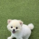 그린실내테니스 이미지