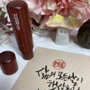 깜장나무 이미지