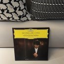 영민하우스 | 슬프게도 반짝이는 소멸 직전의 별처럼