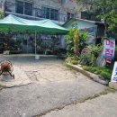 지장산 큰골 계곡 민박 이미지