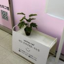 사평역 1번출구 | 사평역 반포역 네일샵 꼼꼼하고 유지력 좋은 베리타스네일