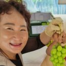 금화 2농장 이미지