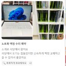 광림유통 | 노트북 액정 고장 해결 가이드: 화면 불량 증상별 원인과 현명한 사설 수리점 선택 요령