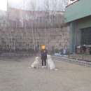세라핌모아 이미지