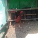 승현농장 이미지