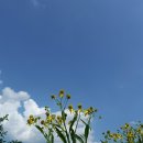 감천제방 이미지