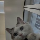 다옴헤어 이미지