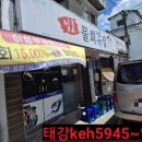 일로물회복집