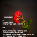 수어지교