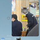 (주)한양사인