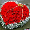 두드리네 이미지