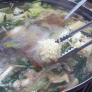 해남성쭈꾸미 이미지