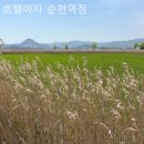 호텔야자순천역점 | 순천 커플여행 숙소추천! 호텔야자 순천역점 커플 가족여행 준비중이라면 추천
