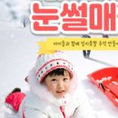 어린이회관얼음썰매장 네이버블로그