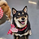 파주힐링몽 이미지