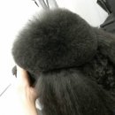 스텐다드