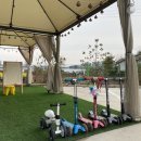 하숑하숑 | :: 파주가볼만한곳 _ 프라이빗 캠핑놀이터 " 하숑하숑 " 후기