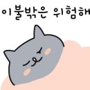 신스쭈꾸미 이미지