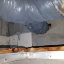 디알에프(DRF) 이미지