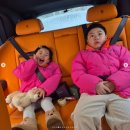 전원사슴농장 | 황정음의 두 아들 미국 유학 올인 선언 &amp; 오현경 딸의 10년 보스턴 보딩스쿨-터프츠대 스토리