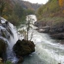 한국폴리텍 VII 대학 부산캠퍼스 | [전문대 취업률] 한국폴리텍 VII 대학 부산캠퍼스 2024년 학과별 취업률