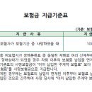 보험금의 지급사유[(무) 백년친구 간편한(335) 내가고른 건강보험(2207)] 이미지