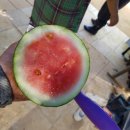 직산농장 이미지