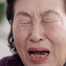 44억원 자산가 전원주의 치매 유언장…금괴 10kg이 증명한 ‘현실 생존법’ 이미지