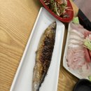 그래도참치 길동점 | [길동]대박참치 초밥 모둠회/ 힛힛
