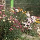 여미지한의원 이미지