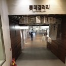 애견나라 백화점 이미지