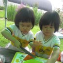 꽃초롱자연학습장 이미지