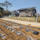 홍성/ 작은동산위 단촐한 전원마을 277평 예쁜 전원주택 3억. 이미지