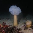 물속풍경 이미지