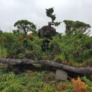 강정동-75 이미지