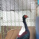 광주조류원 이미지