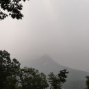 영지농장 이미지