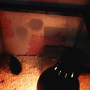 태산 우리동물병원 이미지