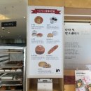 국내 여행 후기 :: 포항 여행 하루에 다 둘러보기(feat. 퐝이 고향이 남편)