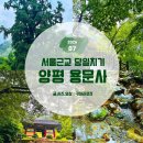 자연보호헌장비 | 서울근교 당일치기 비오는날 여행지로도 좋은 양평 용문사 코스
