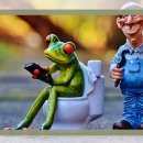 풍세당구장 이미지