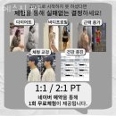 예스짐 이미지