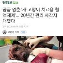 한국동물혈액은행 동물병원 이미지