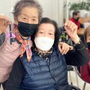 샬롬의숲