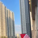 일비태권도장 이미지