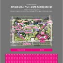 금성주방 이미지