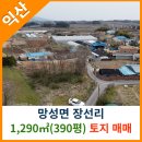 망성면사무소 이미지
