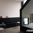 펫맘사랑