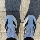 로블록스코리아 유한회사 | [라우리뷰] 아디다스 아디제로 보스턴13 러닝화 솔직리뷰_adidas adizero Boston 13