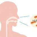 치매치료, 100년간 헛짚었나…미토콘드리아 ‘뇌 이식’ 뜬다 이미지